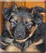 Name:  large (1).jpg
Views: 142
Size:  13.2 KB