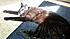 Click image for larger version. 

Name:	clovsleep.jpg 
Views:	149 
Size:	188.7 KB 
ID:	61835