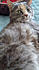 Click image for larger version. 

Name:	mkpuff2.jpg 
Views:	116 
Size:	20.8 KB 
ID:	61840