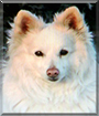 Name:  large.jpg
Views: 182
Size:  11.6 KB