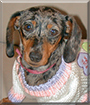 Name:  large.jpg
Views: 147
Size:  14.0 KB