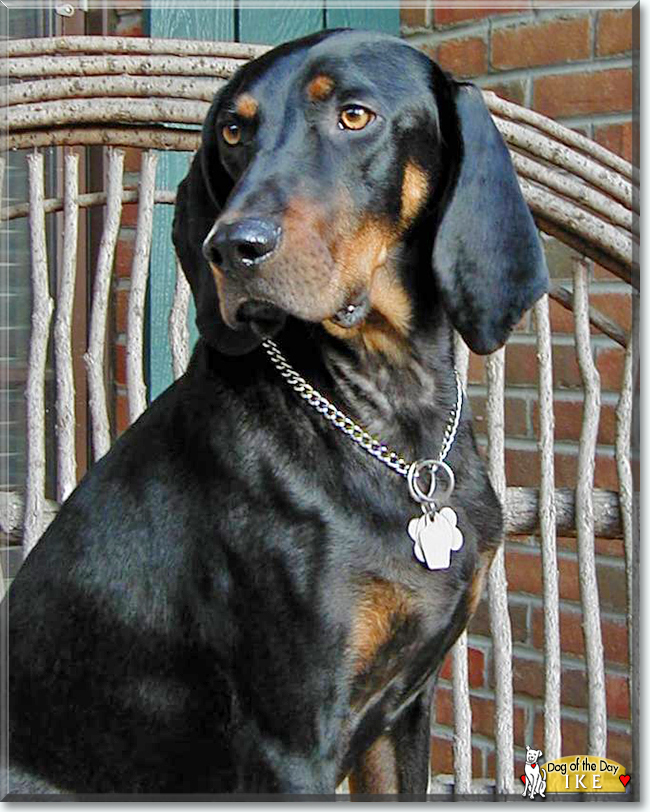 Name:  29 (1).jpg
Views: 145
Size:  369.8 KB