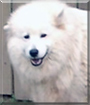 Name:  large.jpg
Views: 141
Size:  7.8 KB