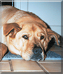 Name:  large.jpg
Views: 267
Size:  14.1 KB