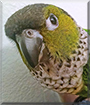 Name:  large (1).jpg
Views: 385
Size:  12.2 KB