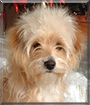 Name:  large (1).jpg
Views: 234
Size:  11.5 KB