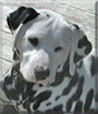 Name:  large.jpg
Views: 140
Size:  10.0 KB