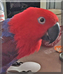 Name:  large.jpg
Views: 159
Size:  11.7 KB