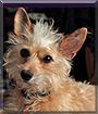 Name:  large (1).jpg
Views: 190
Size:  12.8 KB