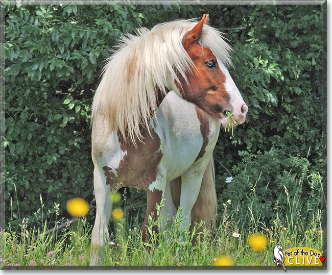 Name:  24.jpg
Views: 177
Size:  362.8 KB