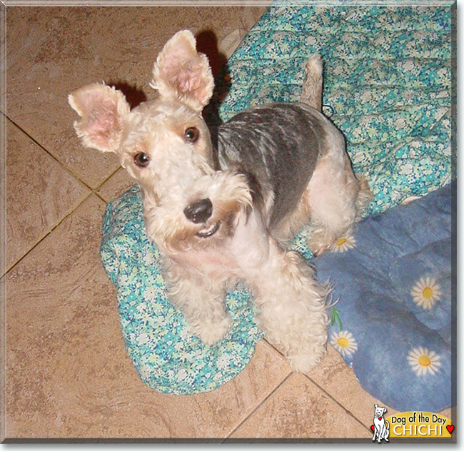 Name:  24 (1).jpg
Views: 123
Size:  388.2 KB
