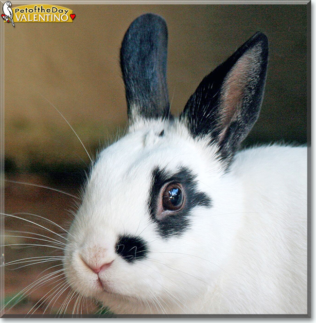 Name:  28.jpg
Views: 130
Size:  333.1 KB