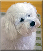Name:  large.jpg
Views: 128
Size:  10.8 KB
