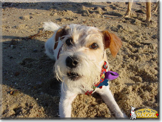 Name:  04.jpg
Views: 338
Size:  217.2 KB