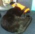 Click image for larger version. 

Name:	clovglow1.jpg 
Views:	127 
Size:	45.2 KB 
ID:	61978