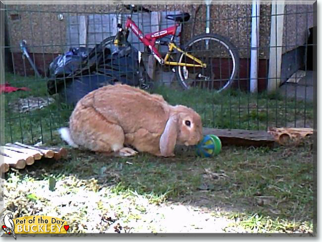 Name:  19 (1).jpg
Views: 697
Size:  178.9 KB
