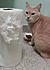 Click image for larger version. 

Name:	puff1.jpg 
Views:	134 
Size:	49.4 KB 
ID:	62026