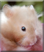 Name:  large.jpg
Views: 161
Size:  9.3 KB