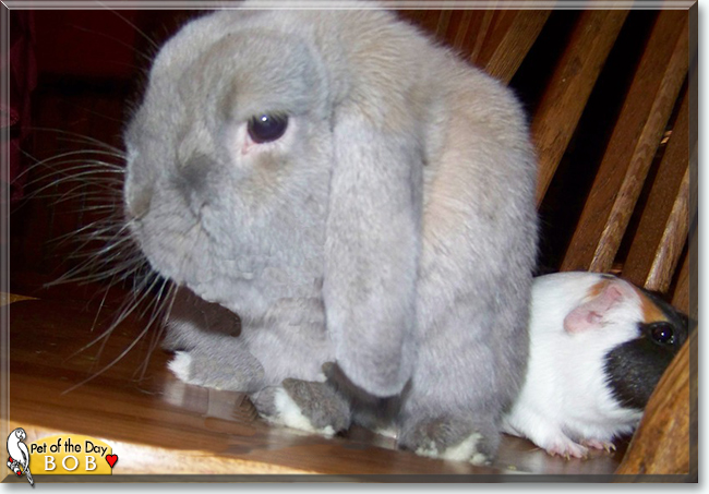 Name:  26 (1).jpg
Views: 195
Size:  177.6 KB