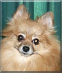 Name:  large (1).jpg
Views: 227
Size:  11.8 KB