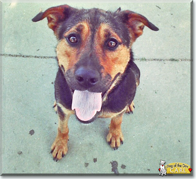 Name:  30.jpg
Views: 171
Size:  265.7 KB