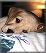 Name:  large (1).jpg
Views: 286
Size:  11.9 KB