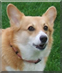 Name:  large.jpg
Views: 224
Size:  10.9 KB