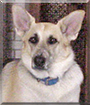 Name:  large.jpg
Views: 281
Size:  13.3 KB