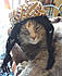 Click image for larger version. 

Name:	mkfall2.jpg 
Views:	164 
Size:	78.2 KB 
ID:	62069