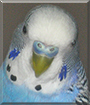 Name:  large.jpg
Views: 333
Size:  11.8 KB