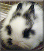 Name:  large.jpg
Views: 351
Size:  13.5 KB