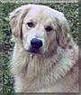 Name:  large.jpg
Views: 301
Size:  11.8 KB