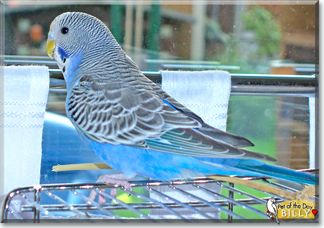 Name:  21.jpg
Views: 158
Size:  353.2 KB