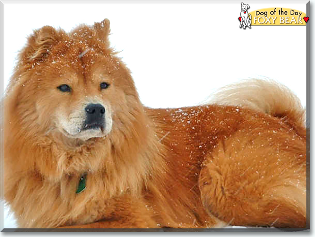 Name:  22.jpg
Views: 193
Size:  170.4 KB