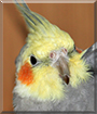 Name:  large.jpg
Views: 168
Size:  11.4 KB