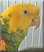 Name:  large.jpg
Views: 160
Size:  11.6 KB