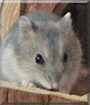 Name:  large (1).jpg
Views: 141
Size:  12.0 KB