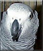 Name:  large.jpg
Views: 202
Size:  10.6 KB