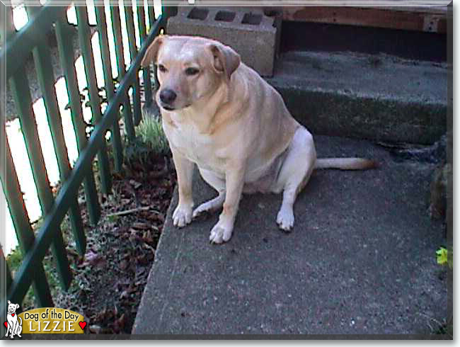 Name:  01.jpg
Views: 362
Size:  133.4 KB