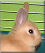 Name:  large.jpg
Views: 327
Size:  10.9 KB