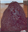 Name:  large.jpg
Views: 284
Size:  13.7 KB