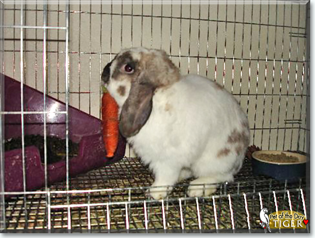 Name:  06.jpg
Views: 366
Size:  213.0 KB