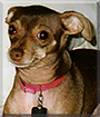 Name:  large.jpg
Views: 304
Size:  15.1 KB