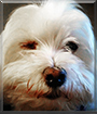 Name:  large.jpg
Views: 207
Size:  12.0 KB