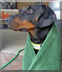 Name:  large.jpg
Views: 287
Size:  13.2 KB