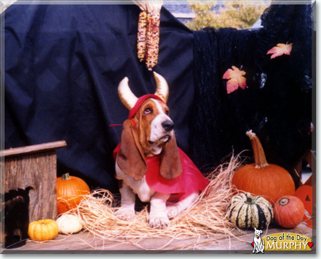 Name:  22.jpg
Views: 397
Size:  236.8 KB