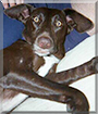 Name:  large.jpg
Views: 172
Size:  12.8 KB