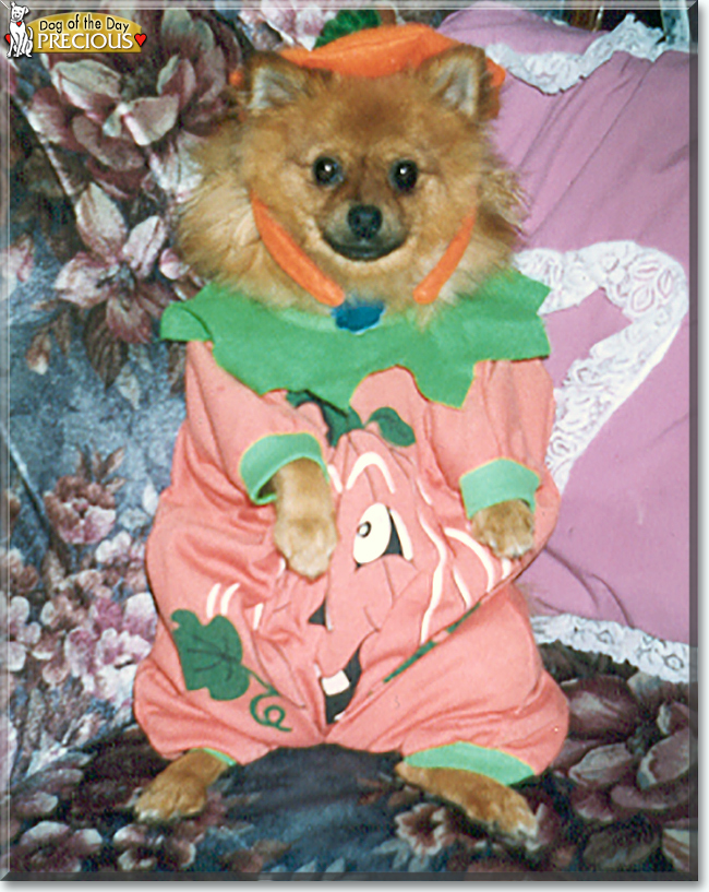 Name:  26.jpg
Views: 275
Size:  415.8 KB