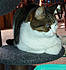 Click image for larger version. 

Name:	olibutt2.jpg 
Views:	143 
Size:	87.5 KB 
ID:	62215
