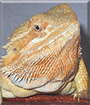 Name:  large.jpg
Views: 281
Size:  14.8 KB